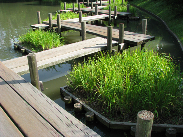 Zig-zag plank bridge around lake,  with corresponding timber planting butts.